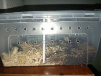 Untitled46_20251202000121.jpg Untitled46_20251202000121.jpg