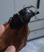 1000022580.jpg 1000022580.jpg