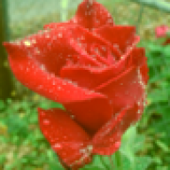 Antistata