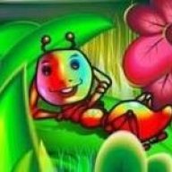 Beautiful Bugs