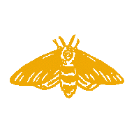 Fire Moth