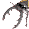 Ayudrs