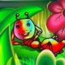Beautiful Bugs