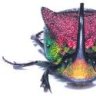 treespider