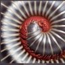 Metastasize