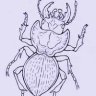 Scolipede