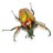 ColeopteraFarm