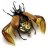 Shepherd of beetles
