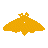 Fire Moth