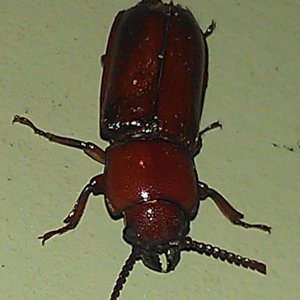 IMAG0898.jpg