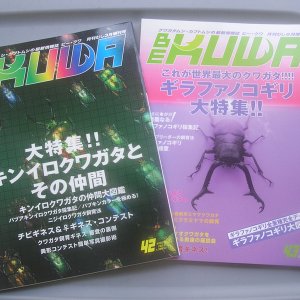 magazines.jpg
