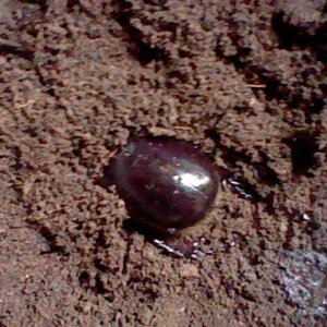 HNI_0069.JPG