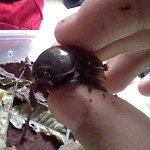 HNI_0070.JPG