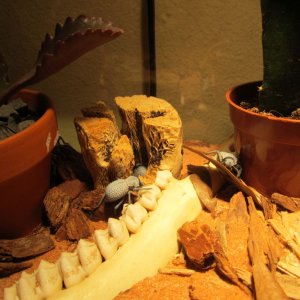 IMG_1535.jpg