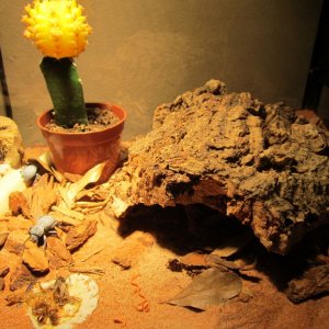 IMG_1536.jpg