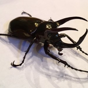 FullSizeRender-2.jpg