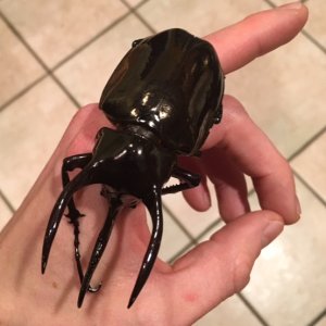 FullSizeRender-6.jpg