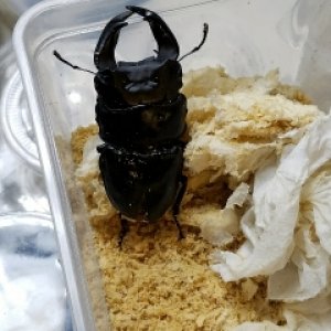 20171217_144336_480x640_240x320.jpg