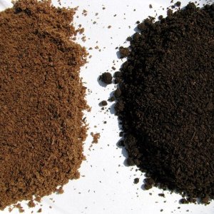 sawdust_before_and_after.jpg
