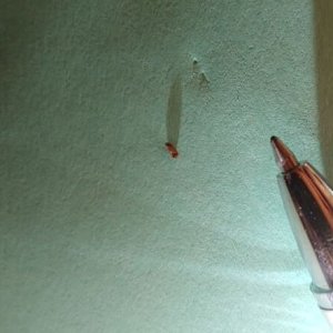 20221005_221953.jpg