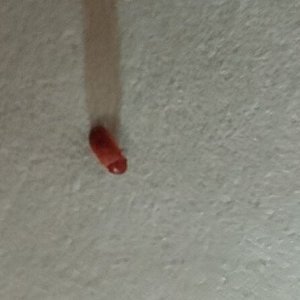 20221005_222040.jpg