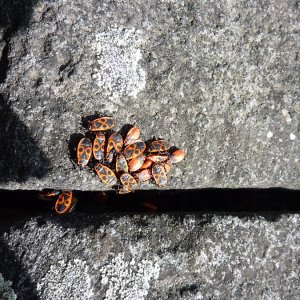 P1020429.JPG