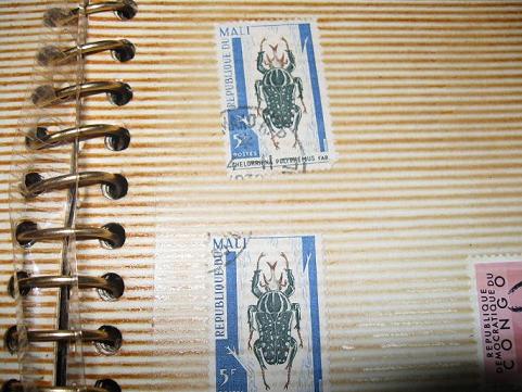 040.JPG