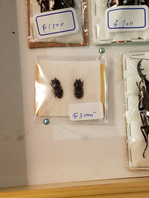 20171217_161651_480x640.jpg
