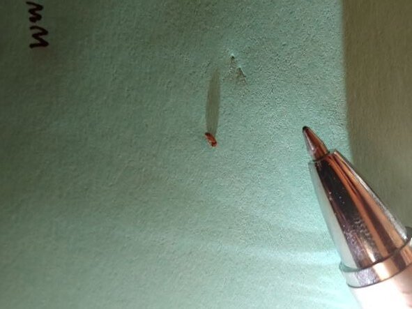 20221005_221953.jpg