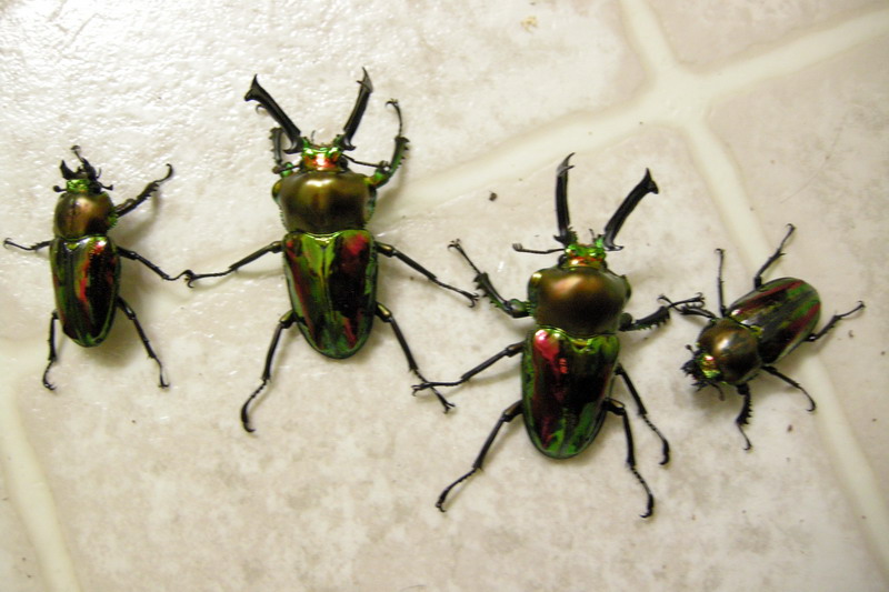 DSCN9885.jpg