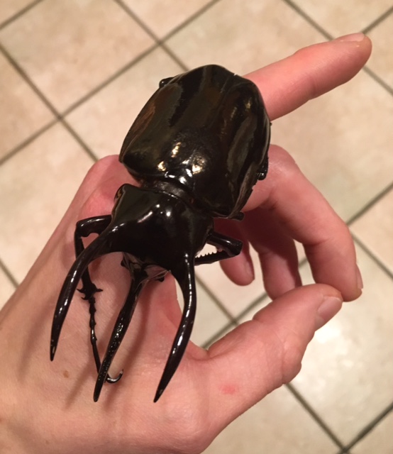 FullSizeRender-6.jpg