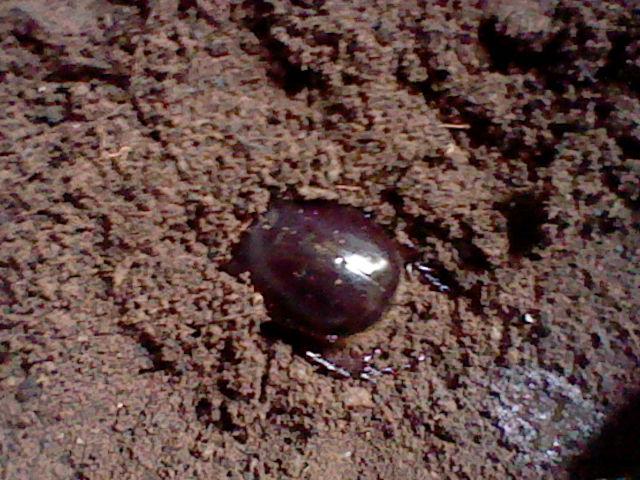 HNI_0069.JPG