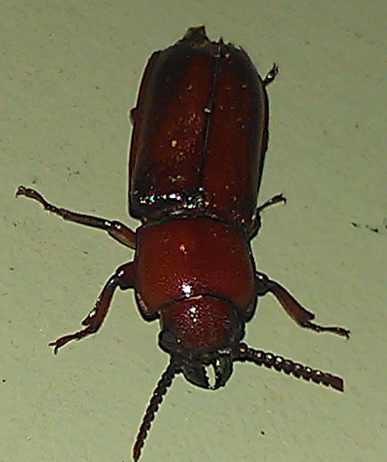 IMAG0898.jpg